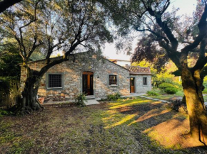 La Casina di Susy